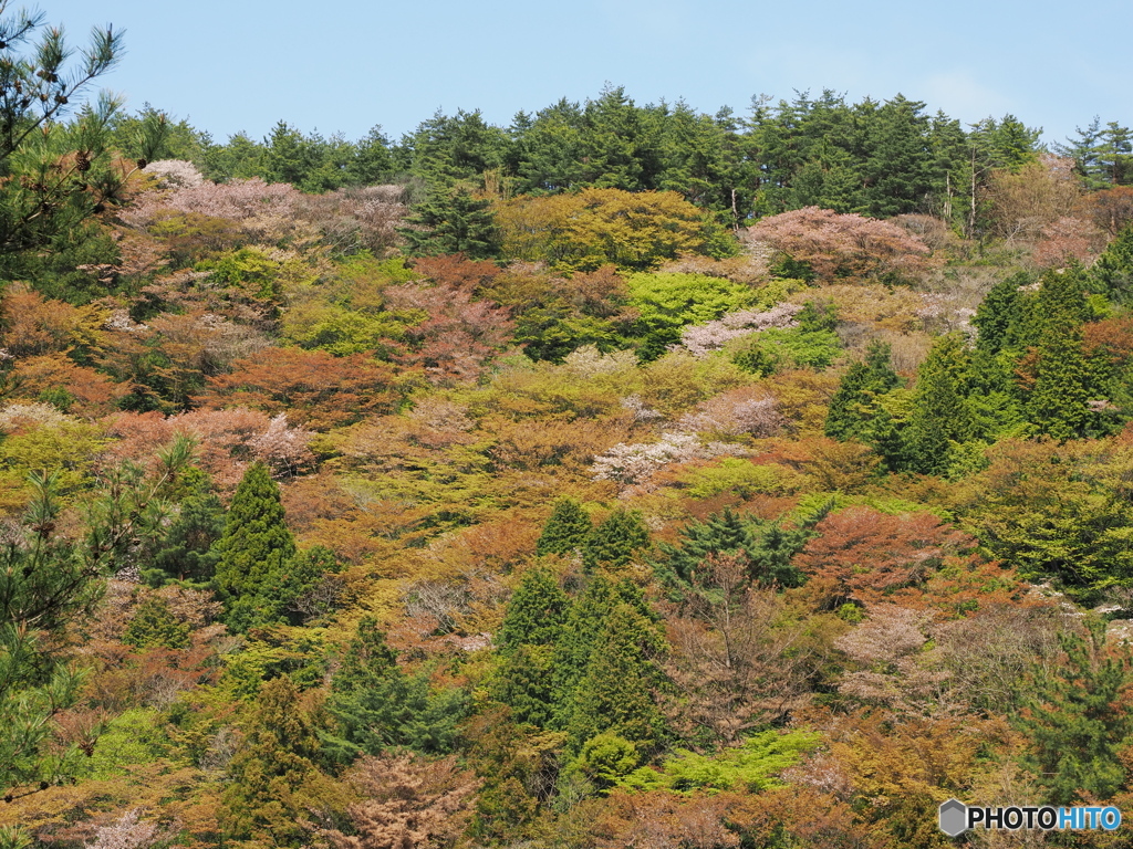 山笑う