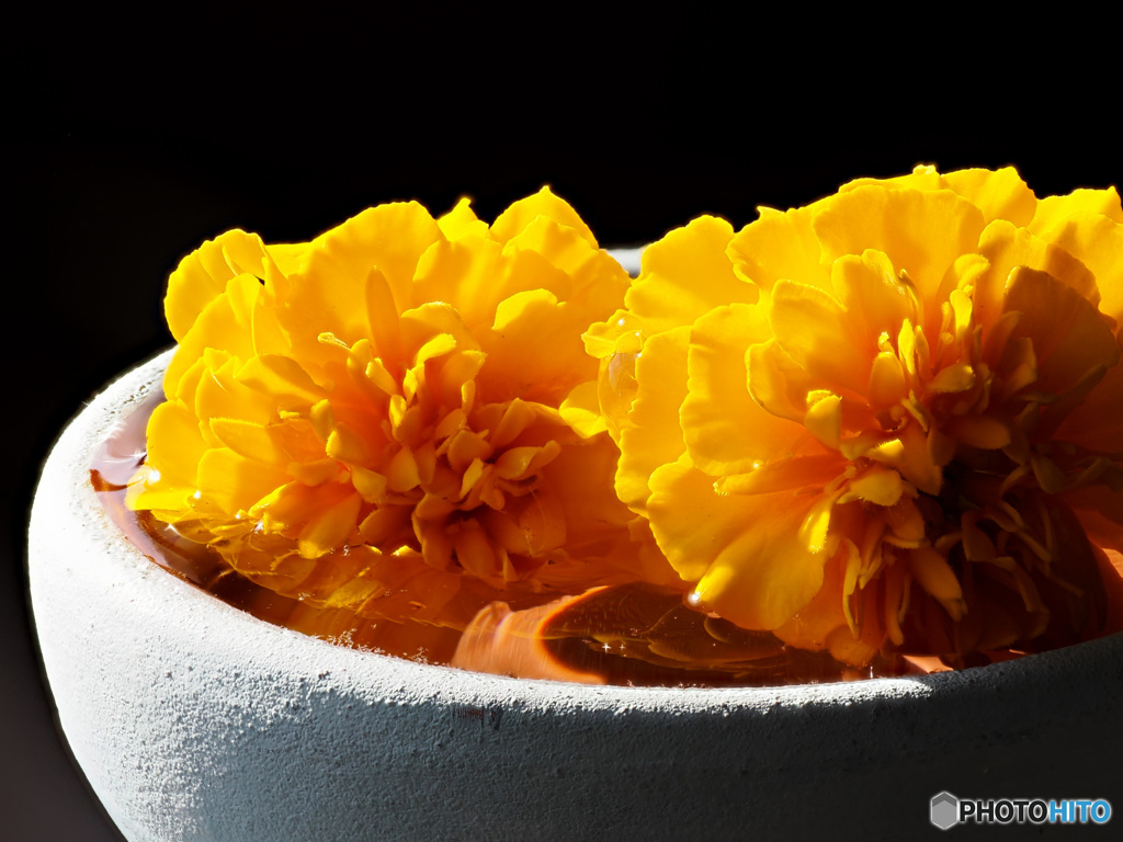 テーブルフォト