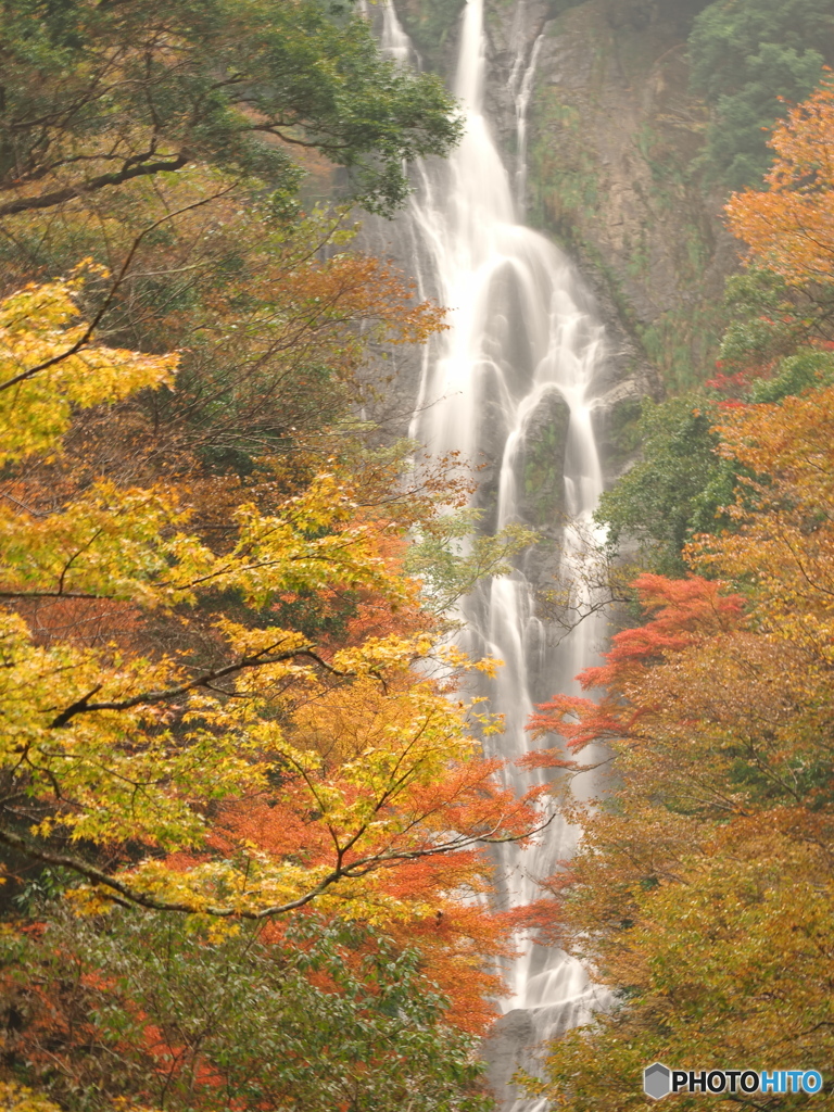 紅葉に滝