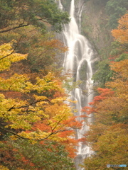 紅葉に滝