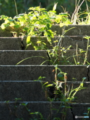 人が減った階段