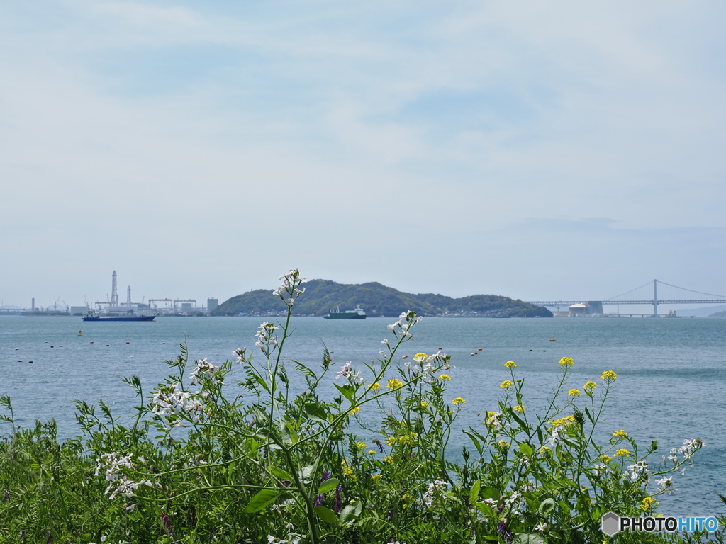 春の花と春霞の瀬戸内海