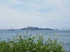 春の花と春霞の瀬戸内海