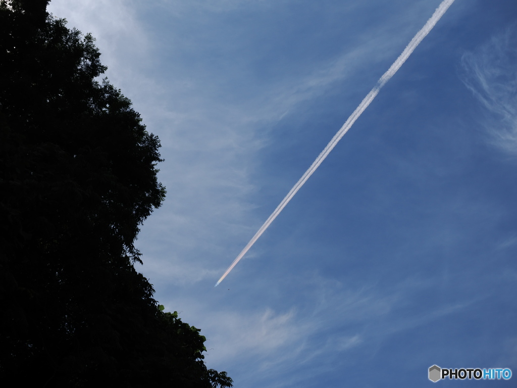 飛行機雲