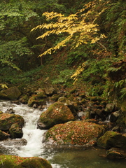 秋の沢