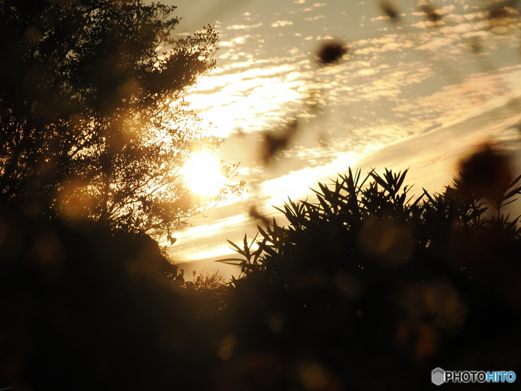 秋の夕日