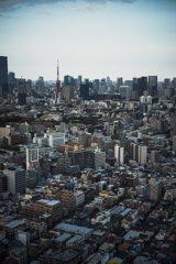 東京という街