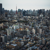 東京という街