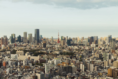 東京、いや、日本のシンボル