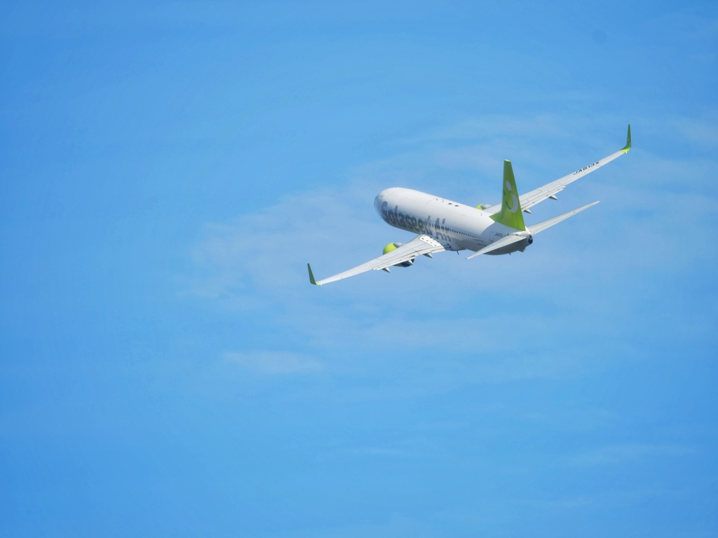 秋空に向かって