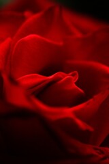 IMG_3890