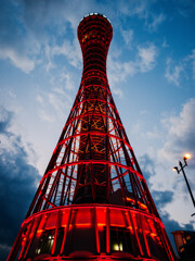 P1129854