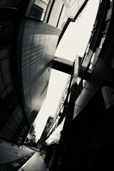 DSC_0267