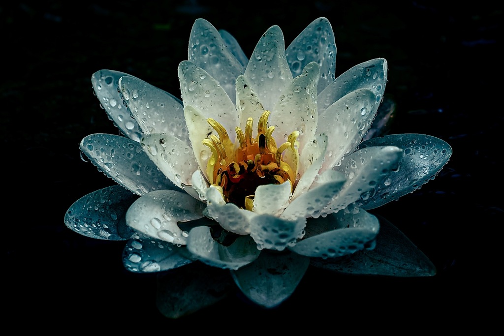 P5241275-DxO_DeepPRIME 3