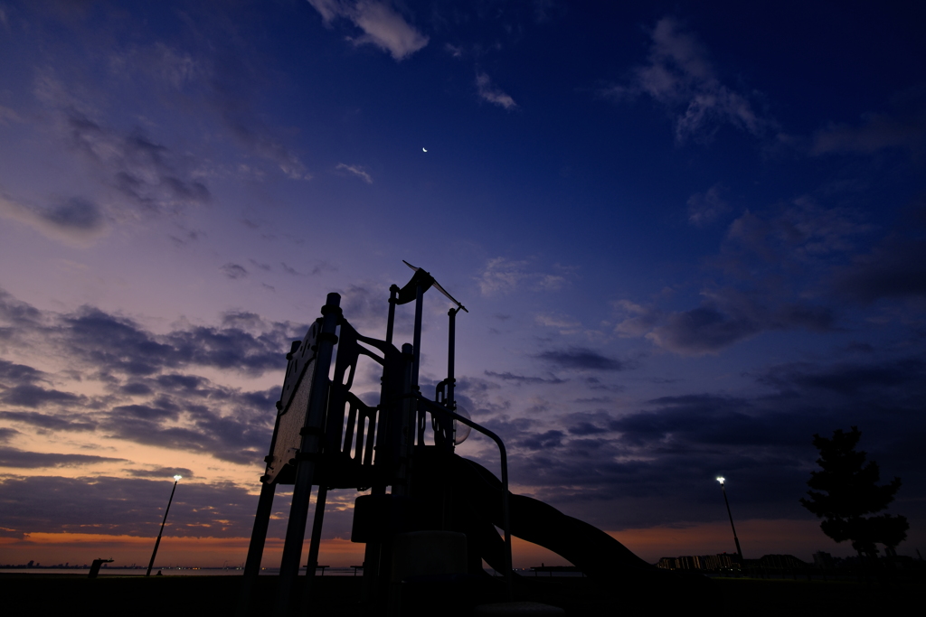 夜明け前の公園