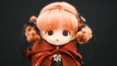 ドール