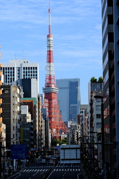早朝の東京