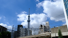 スカイツリー