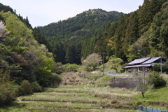 里山の風景