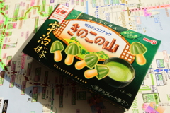 諸君　私は きのこの山 が好きだ