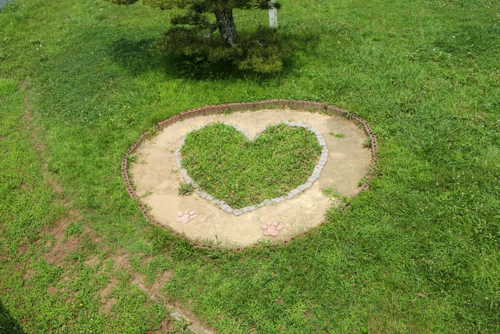 気になったアレコレ
