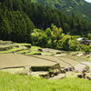 田畑6