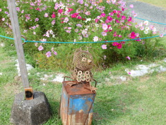 探鳥の努力　31　バイツァダスト