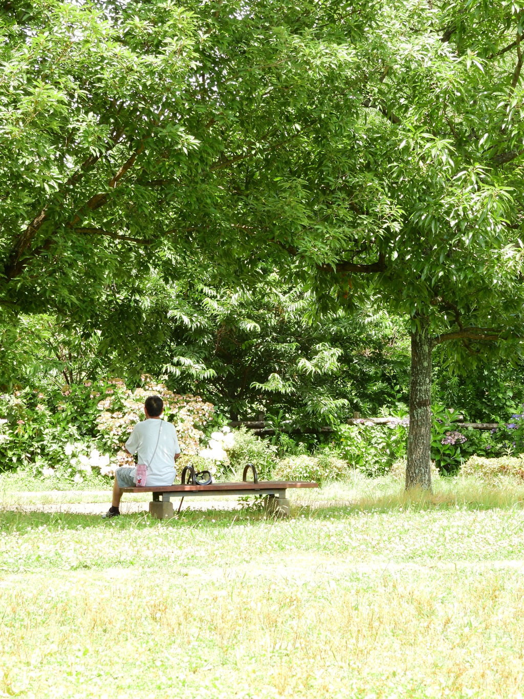 散歩中の公園にて