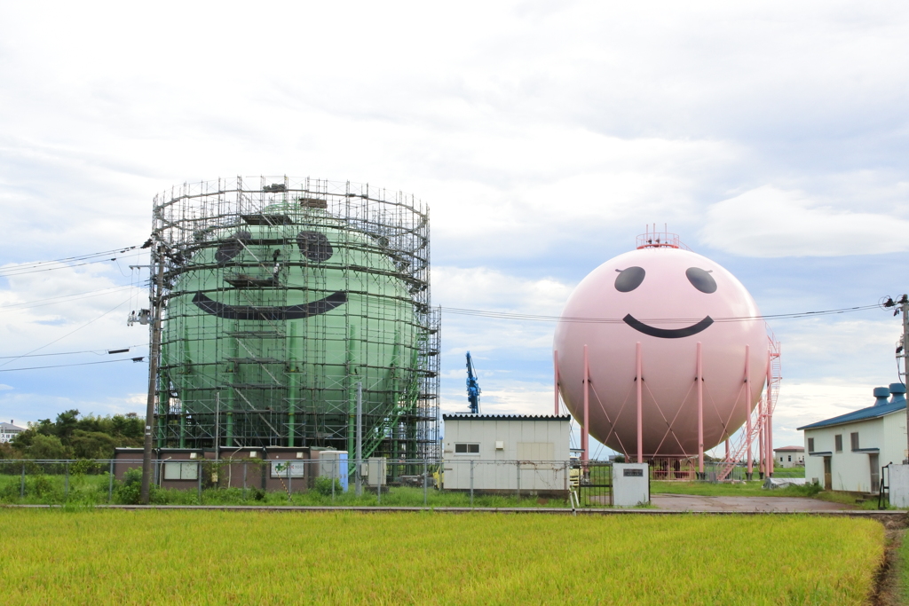 ボクをニコタンに乗せて下さい!!!