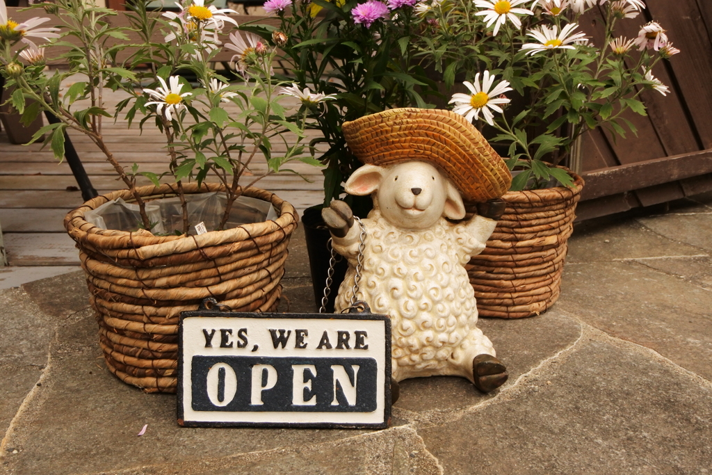 How many pens do you have?