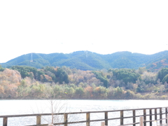 今日は風景写真をガンバ････ル･･？