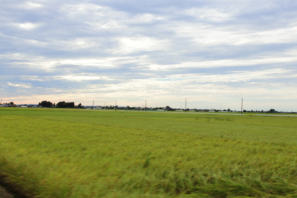 新潟県は米しか無い！