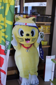 風景を撮ろうとした