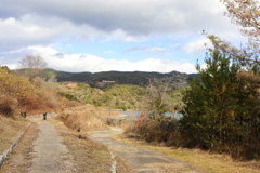 探鳥地