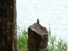 アンバランス ①