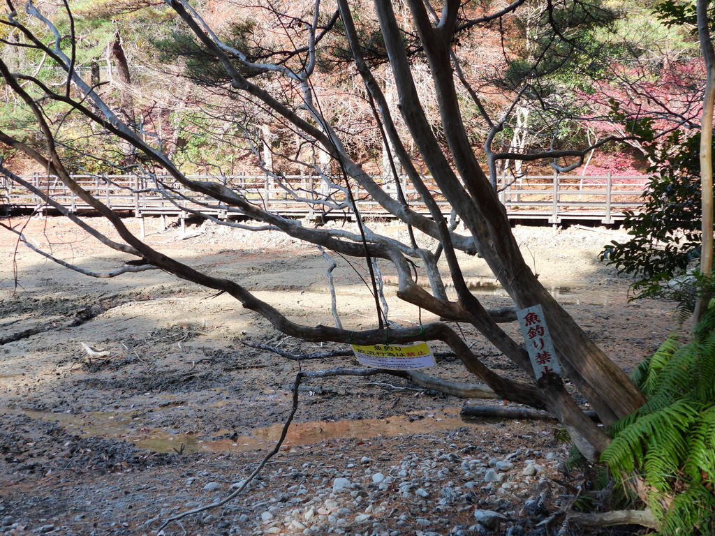 魚釣り禁止･･････？