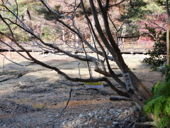 魚釣り禁止･･････？