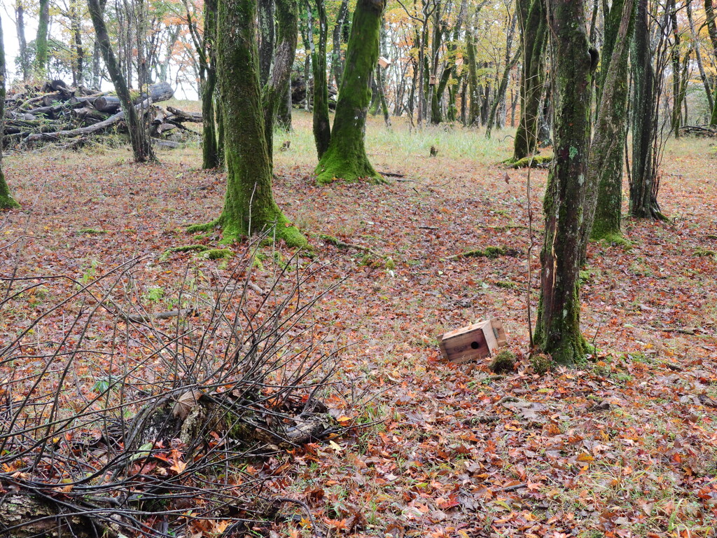 レ・ミゼラブル