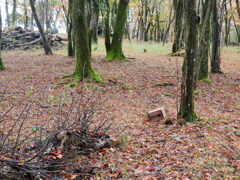 レ・ミゼラブル