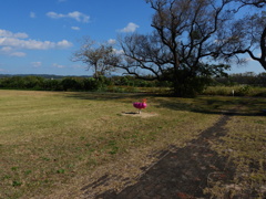 わ～たしピンクの ・・・・・♬