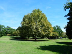 カメラのクセが判りやすい写真