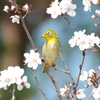 あの花の名前を僕達はまだ知らない Ⅹ