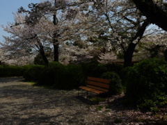 ベンチャー