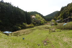 里山の風景