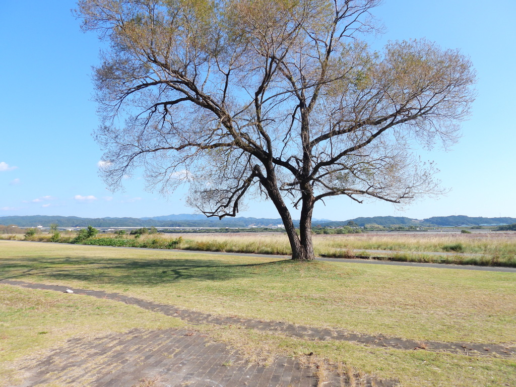 風景写真もやってみる