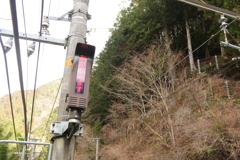 響き渡る電子音