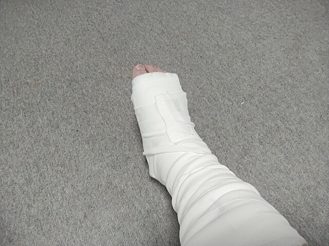 (✽︎´ཫ`✽︎)・:∴ｺﾞﾌｯ!!