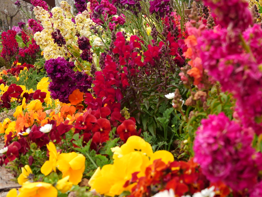 あの花の名前を僕達はまだ知らない Ⅴ