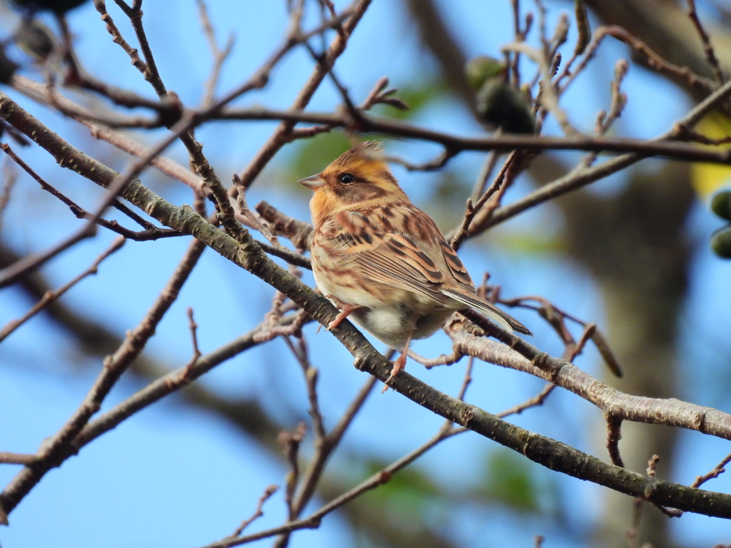 ｡｡｡o(ﾟ^ ﾟ)ｳｰﾝ