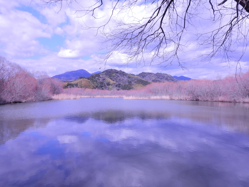 前回投稿したネッシー詐欺写真に